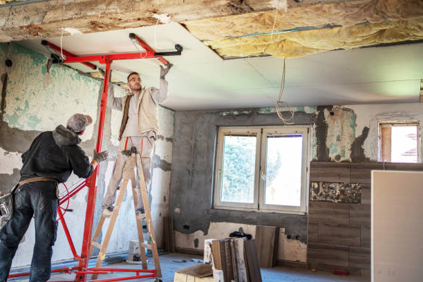 Best Insulation for Commercial Buildings  in Ida Grove, IA