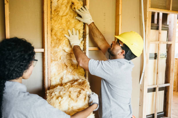 Best Blown-in Insulation  in Ida Grove, IA