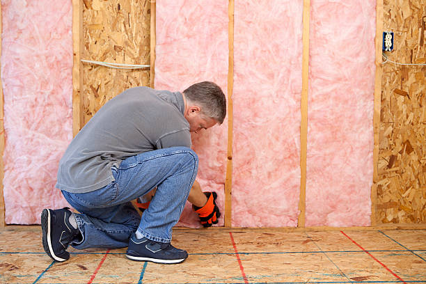 Best Insulation Contractor Near Me  in Ida Grove, IA